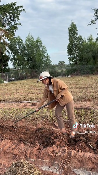 เป็นเวอร์ชั่นที่ดีที่สุด💐✌🏻 #เจ้าแหม่ม #หอมเลย #หอมบั่วเลย #หอมเลยโบราณ #พันธุ์หอมบั่วเลย #บั่วเลย
