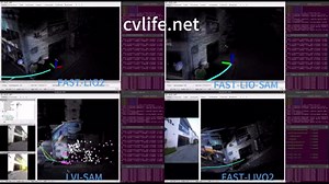 MetaCam EDU 适配算法对比实测