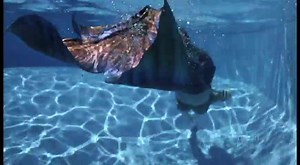 56K views · 2.8K reactions | COLOR CHANGING MERMAID TAIL! This color...