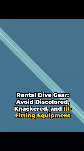Rental Dive Gear: Avoid Discoloured, Knackered and Ill-Fitting Equipment Please visit our website for more Scuba news, underwater photography, hints & advice, and travel reports: https://divernet.com/ ✅ Important Affiliate Links to Follow 🔗 Get 15% Off International eSIM Offer! Use Code: SCUBADIVERMAG https://airalo.pxf.io/bO7Wy9 🔗 Shop Scuba Gears Here: https://divernet.com/go/youtube-affiliate-link 🔔𝐃𝐨𝐧'𝐭 𝐟𝐨𝐫𝐠𝐞𝐭 𝐭𝐨 𝐬𝐮𝐛𝐬𝐜𝐫𝐢𝐛𝐞 𝐭𝐨 𝐨𝐮𝐫 𝐜𝐡𝐚𝐧𝐧𝐞𝐥 𝐟𝐨𝐫 𝐦𝐨𝐫𝐞 𝐮