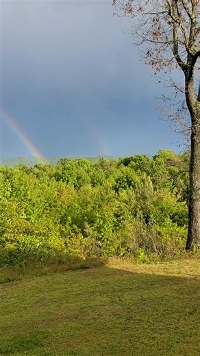 Robbi Cannon on Reels | Facebook