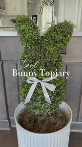19K views · 81 reactions | My bunny topiary just arrived!! The...