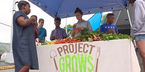 Kids learn about produce in youth-run farm stand