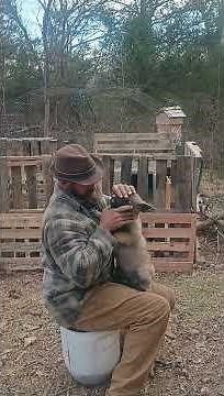 Preventing Vet Anxiety Early: Handling & Confidence Lesson