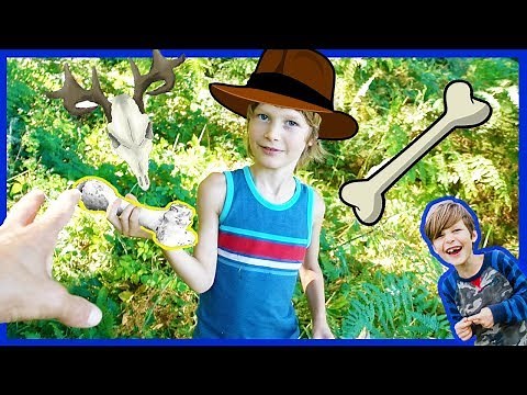 Adventure of the Bone Hunters