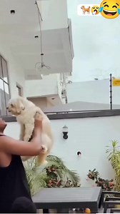 69K views · 1K reactions | Wait wait 藍 #funny #comedy | Siddique Ali | Facebook