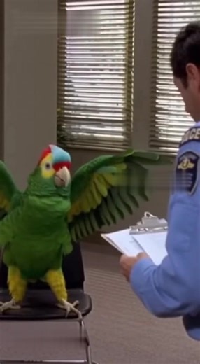The doctor gave her the wrong injection!”😂🦜 | Parrot Comedy Show