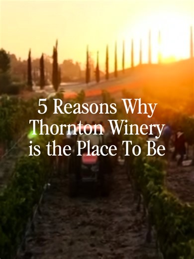 5 reasons everyone is suddenly obsessed with Thornton Winery.. #thorntonwinery #chocolatewine #champagnejazzseries #methodechampenoise