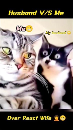 Husband V/S Me🤦‍♀️🤦‍♀️ #tiktok #funny #shorts #trending