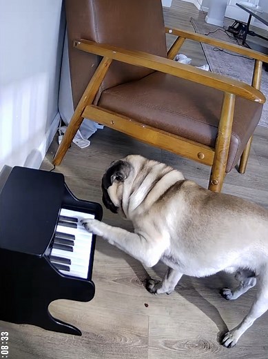 Teaching Classical Music Through Classical Conditioning