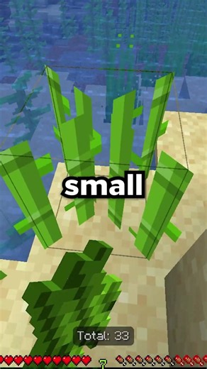98% of Players Instantly Get KILLED on this Minecraft SMP