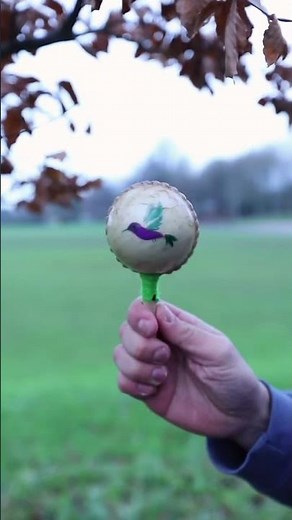 Indian Shamanic Maraca Shaker - Sound Demo