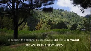 18K views · 539 reactions | SOLO Car Camping trip with my Dog "Ted"...