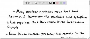 The signal sequence on a protein destined for export from a cell is never located at the C-terminal end of the polypeptide chain. Why? | Numerade