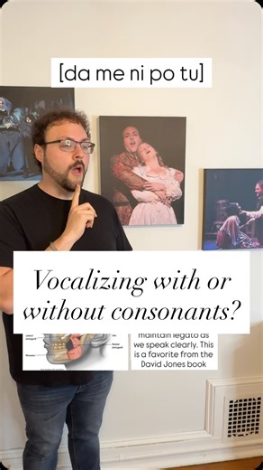ᴊᴏʀᴅᴀɴ ꜱᴄʜʀᴇɪɴᴇʀ, ᴛᴇɴᴏʀ on Instagram: "Training the voice as an Opera Singer & Voice Teacher We spend a lot of time vocalizing and building technique on vowels, which is important. It’s also important for us to be building on exercises with simple syllables to make sure we can maintain the legato in our exercises. Do you ever get frustrated with your singing because you feel like a pro singing on your exercises but then it falls apart in repertoire? This could be the problem. When you’re using t