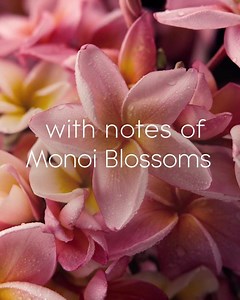 55K views · 103 reactions | Feel the adventure of NEW Glade® Exotic Tropical Blossoms™ fragrance. | Glade | Facebook