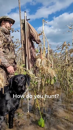 How do you hunt waterfowl? #duck #duckhuntersoftiktok #swampstick #huntinglife #duckhunting #hunters ##hunt #hunter #canadagoose #hunterjumper #shootingrange #huntgram #riflessi #huntingdog #hunters #huntingseason #tagify_app #huntinglife #huntress #hunterxhunter #shootingday #goose #deerhunting #shooting #shootingtime #hunting #shootingphoto