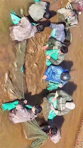 江西金溪：冬捕鲜鱼供市场Freshwater fish harvest yields a bountiful catch.
