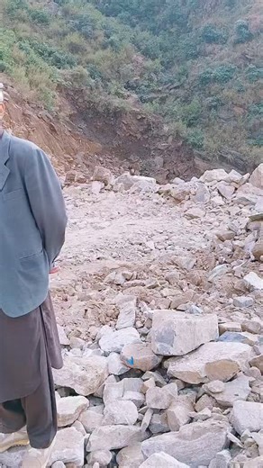 Black & White (@star_zebra_1)’s videos with original sound - shoaib bajauray