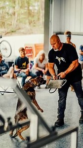 💥SUPERSEDE THE STIGMA💥 Having a learning disability in reading and math had me hating school and education. My passion to know, understand and learn about dogs broke down those barriers and now I’m a teacher. Never saw that coming… #k9servicesunlimited #dog #dogtraining #learningdisabilities #adapt #overcome #reels #fyp | K-9 Services Unlimited LLC