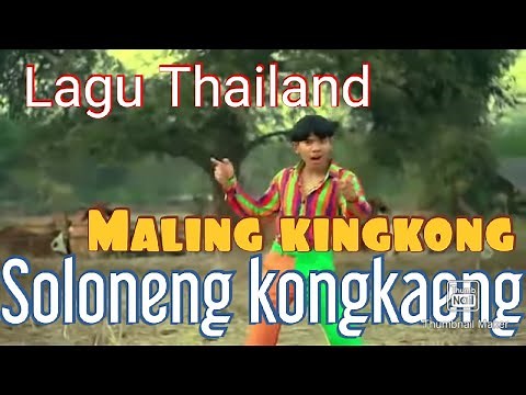 Lagu Thailand MALING KING KONG SOLONENG KONGKENG (Oficial video clip )