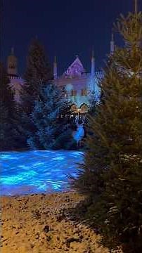 Tivoli’s Magical Forest 2025 ✨🌲A truly enchanting Christmas setup — a must-see! 😍✨