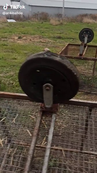 Dismantling a Rusted Metal Cage: Step-by-Step Guide