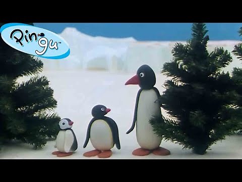 Pingu is Thankful 🐧 | Pingu - Official Channel | Cartoons For Kids