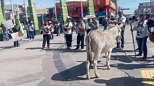 🟠🟡 [#EnVivo] 🚨😡 Población se levanta en contra del alcalde de Majes por presuntas obras y compras sobrevaloradas 🫏💧🌴❌ | #RadioVictoria 🎤 Reportera: Paulina Chino. ✍️ B.C. 📎 Más aquí ► radiovictoriaaqp.com 🛍️ Publicidad al ► https://wa.me/51966413333 ☎️ 999400173 - 999400174 #𝐑𝐚𝐝𝐢𝐨𝐕𝐢𝐜𝐭𝐨𝐫𝐢𝐚𝐀𝐫𝐞𝐪𝐮𝐢𝐩𝐚 | 📻 𝟗𝟐.𝟗 𝐅𝐌 𝐲 𝟏𝟒𝟕𝟎 𝐀𝐌 🔊 | RADIO VICTORIA