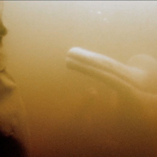 4M views · 75K reactions | Dolphins are commonly known to be intelligent, friendly and happy mammals. But did you know, they can have a scary, dark side?  #rivermonsters #jeremywade #Dolphins | River Monsters Global | Facebook