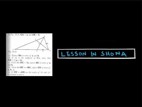 Vectors Qn 5: Scalars, Midpoints and Vectors | ZIMSEC O Level Maths | In Shona