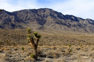 San Bernardino County: Eight Great Places to Camp, Hike, Eat & Explore - California Through My Lens