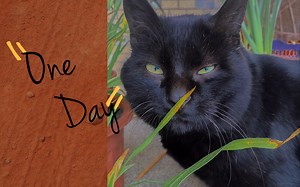 和我过一天 ： 整理四月的衣柜单独去旅行