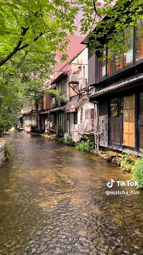 この夏、京都の癒しスポット高瀬川を訪れよう