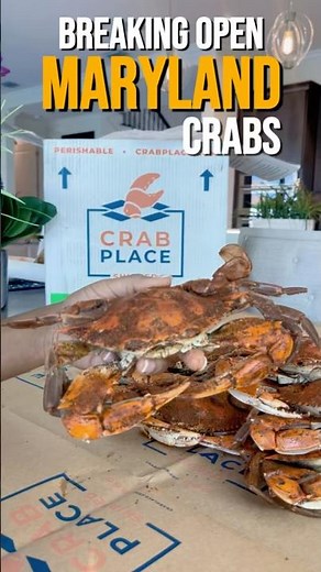🦀 Cracking Open a Premium Maryland Blue Crab from ‪@TheCrabPlace‬ – ASMR Experience! 🦀