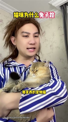 Why do cats kick rabbits Under what circumstances will a cat kick a rabbit#Cat owner#Scien