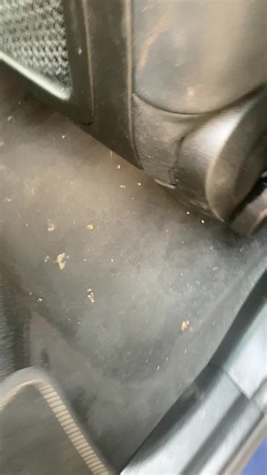 Fumigación de Vehículos en Santo Domingo Control de Maleza en La Romana Esta semana en NSPest Control, realizamos una fumigación profunda de vehículos con resultados inmediatos. Eliminamos plagas internas como cucarachas y ácaros, dejando los autos libres de insectos, higienizados y seguros para sus ocupantes. Además, nos trasladamos a La Romana, donde realizamos una aplicación intensiva de herbicida en un patio completo. Eliminamos maleza resistente, recuperando el terreno y previniendo el crec