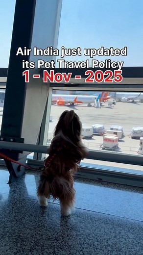 Do you need to book #pettravel on @airindia for this #holidaytravel...
