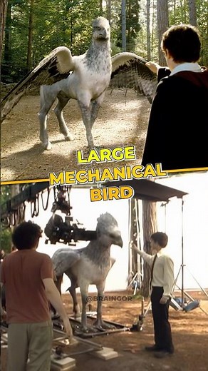 Incredible Mechanics: The Most Alive Monster in Harry Potter