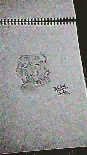 Pitbull drawing 😱🤯🥶