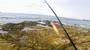48K views · 2.2K reactions | Popper for Giant Fish! Gear setup ⬇️ Rod: Pioneer Shadow cast XF 862 ML (from Goodcatch fishing buddy Manila) Reel: Penn Slammer IV 4500 series (from Goodcatch fishing buddy Manila) Braided Line: Kairiki 30lb x8 braid (from Goodcatch fishing buddy Manila) Leader Line: Shark Mono 60mm Lure: Popper 13cm 30gram Location: San Miguel, Linapacan, Palawan July 22,2023  Time: 7am - 8am | Footstep Angler TV | Facebook