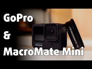 GoPro & MacroMate Mini ⎮ Example Macro Footage