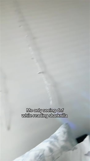 I clocked it lol😳😭 #dnf #byler #dsmp #fyp #fanfic