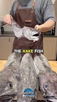 The Hake Fish — The Silent Hunter of the Cold Seas ❄️ #hakefish #Shorts #aquaticodyssey