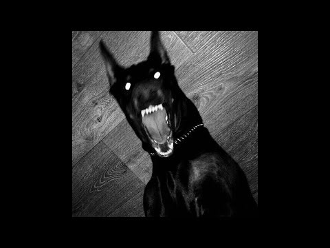 [FREE] Token Experimental Type Beat - "MORGUE"