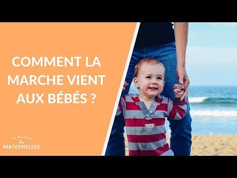 How do babies learn to walk? - La Maison des maternelles #LMDM