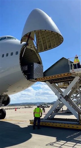 Massive Cargo Plane Loading Operation at Airport | Real Airport Ground Handling