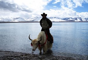 Viaggio in Tibet: La guida per visitarlo da solo o in compagnia