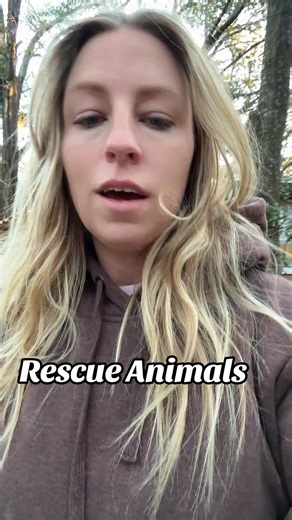 Rescue Animals Story: Heartwarming Adoption Tales