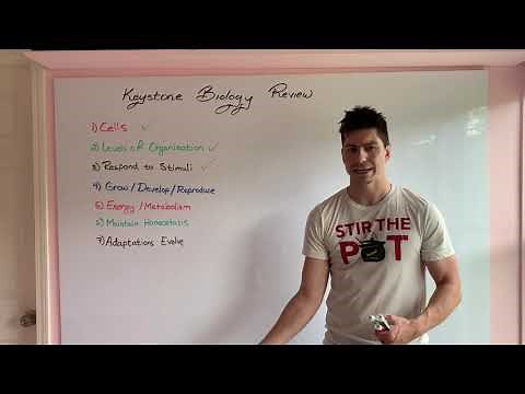 Keystone Biology Test Review 2 - Characteristics of Life